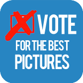 Vote for the Best Pictures